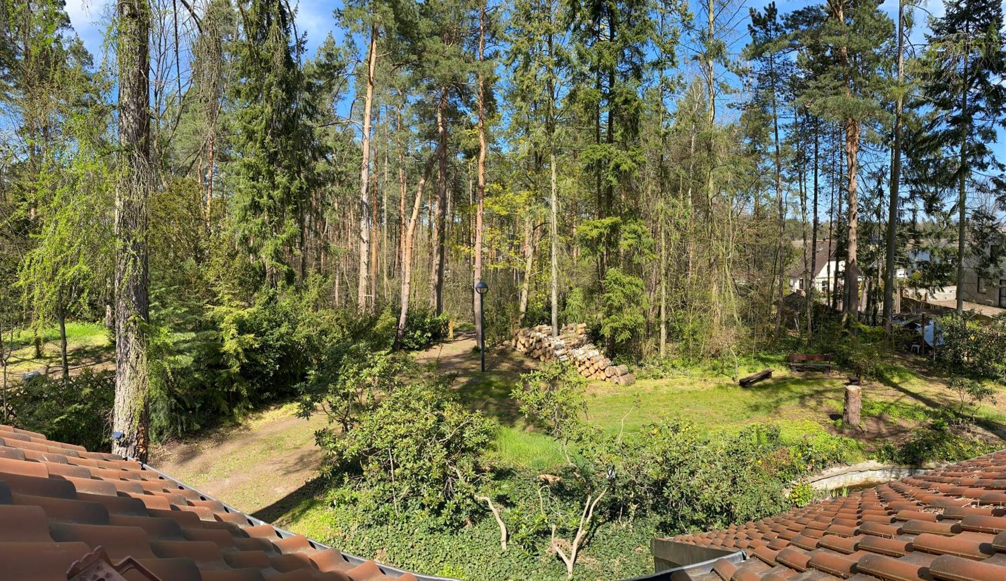 Waldhaus Eichhoernchen บาด ชมีดีแบร์ก ภายนอก รูปภาพ